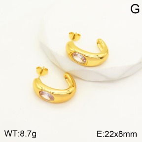 2E4003206vbnl-434  Stainless Steel Earrings