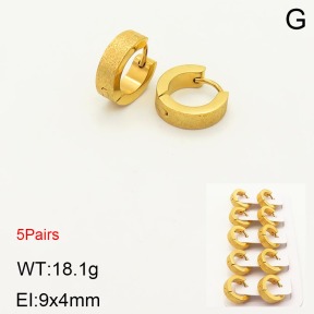 2E5000166vhnl-233  Stainless Steel Earrings