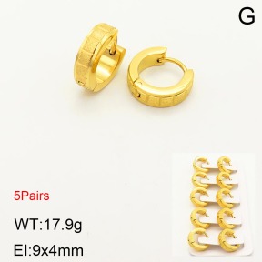 2E5000174aiil-233  Stainless Steel Earrings