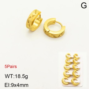 2E5000175aiil-233  Stainless Steel Earrings