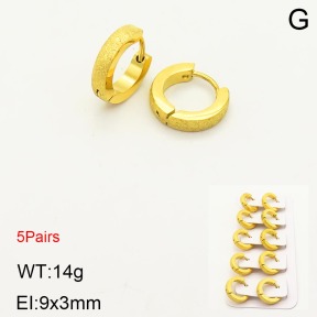 2E5000177vhnl-233  Stainless Steel Earrings