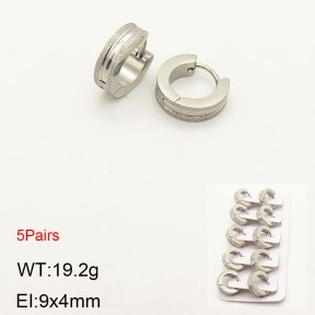 2E5000184ahlv-233  Stainless Steel Earrings