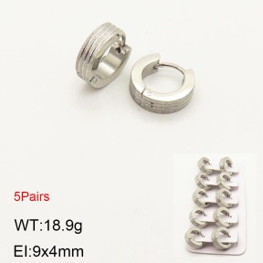 2E5000186ahlv-233  Stainless Steel Earrings