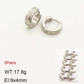 2E5000187aivb-233  Stainless Steel Earrings