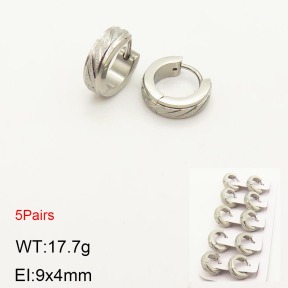 2E5000188aivb-233  Stainless Steel Earrings