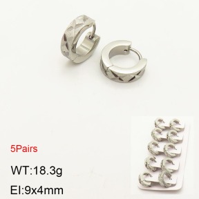 2E5000189aivb-233  Stainless Steel Earrings