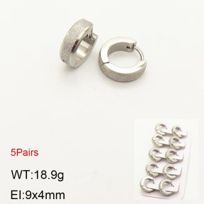 2E5000190ahlv-233  Stainless Steel Earrings