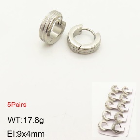 2E5000191ahlv-233  Stainless Steel Earrings