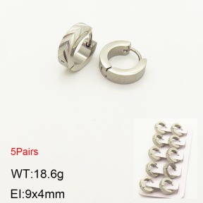 2E5000192aivb-233  Stainless Steel Earrings