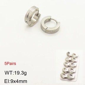 2E5000193ahlv-233  Stainless Steel Earrings