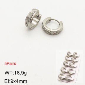 2E5000196aivb-233  Stainless Steel Earrings