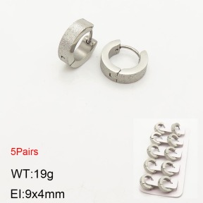 2E5000197ahlv-233  Stainless Steel Earrings