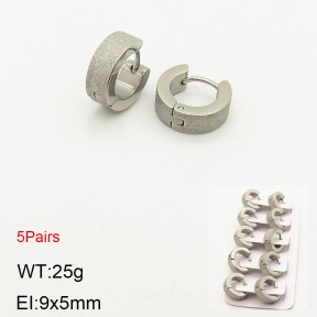 2E5000198ahlv-233  Stainless Steel Earrings
