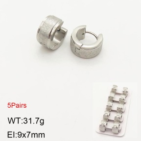 2E5000199ahlv-233  Stainless Steel Earrings