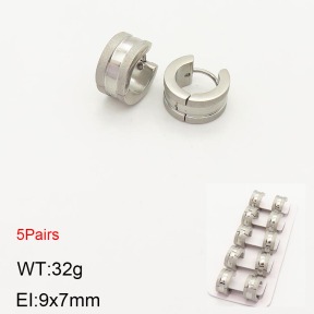 2E5000202ahlv-233  Stainless Steel Earrings