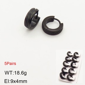 2E5000204aiil-233  Stainless Steel Earrings