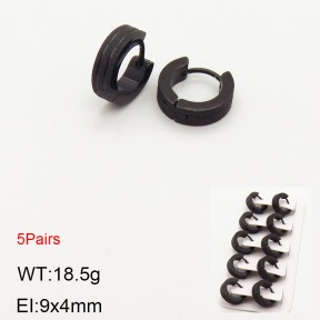 2E5000205vhnl-233  Stainless Steel Earrings