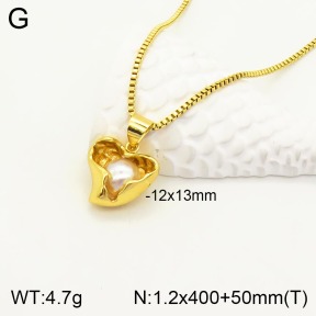 2N3001576bbov-434  Stainless Steel Necklace