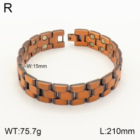 2B9000014ajvb-763  Stainless Steel Bracelet