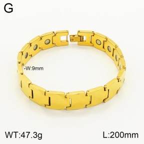 2B9000026aloa-763  Stainless Steel Bracelet