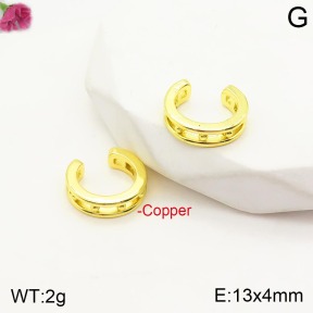 F2E200819bbml-J48  Fashion Copper Earrings