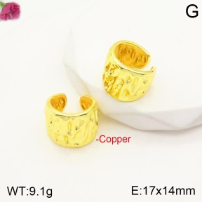 F2E200820vbnl-J48  Fashion Copper Earrings