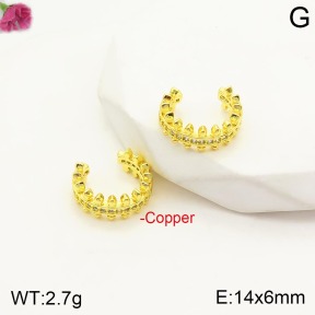 F2E401170vbnl-J48  Fashion Copper Earrings