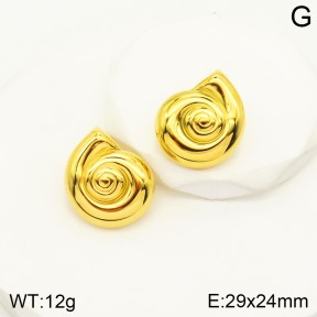 2E2003722vbnl-464  Stainless Steel Earrings