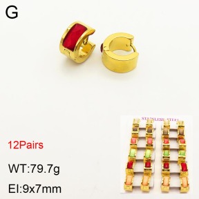 2E4003213bihm-731  Stainless Steel Earrings