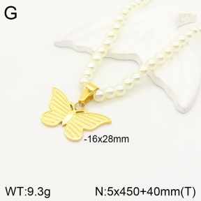 2N3001584abol-434  Stainless Steel Necklace