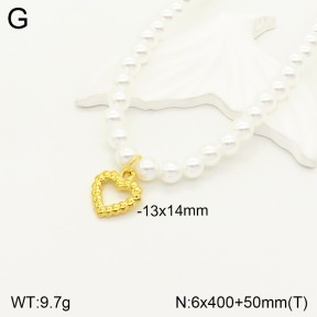 2N3001586vbll-731  Stainless Steel Necklace