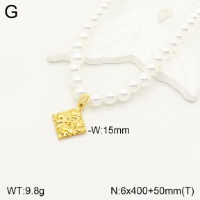 2N3001588vbll-731  Stainless Steel Necklace