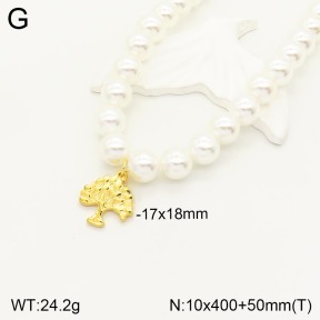 2N3001591vbll-731  Stainless Steel Necklace