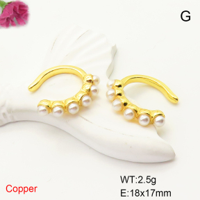 F6E301754ablb-L017  Fashion Copper Earrings