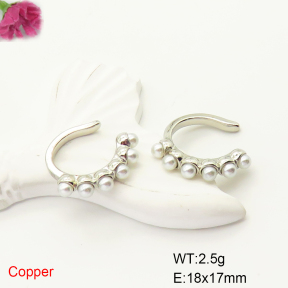 F6E301755ablb-L017  Fashion Copper Earrings