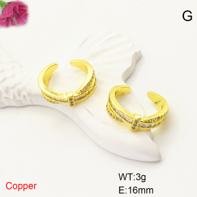 F6E405057ablb-L017  Fashion Copper Earrings