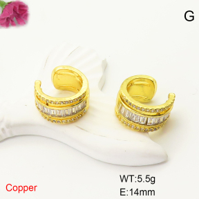 F6E405066bbov-L017  Fashion Copper Earrings