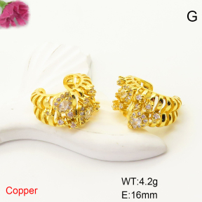 F6E405100ablb-L017  Fashion Copper Earrings