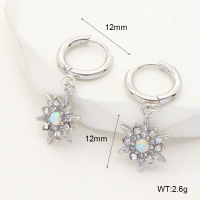 6E4004046vhlm-G034  Stainless Steel Earrings  316 SS Czech Stones & Synthetic Opal ,Handmade Polished
