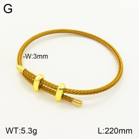2B8000189vbmb-311  Stainless Steel Bracelet