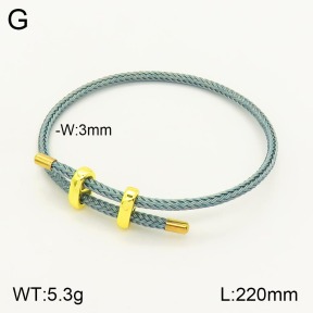 2B8000193vbmb-311  Stainless Steel Bracelet