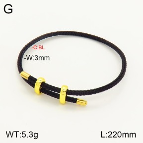 2B8000201vbmb-311  Stainless Steel Bracelet