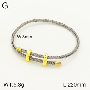 2B8000204vbmb-311  Stainless Steel Bracelet