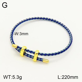 2B8000205vbmb-311  Stainless Steel Bracelet