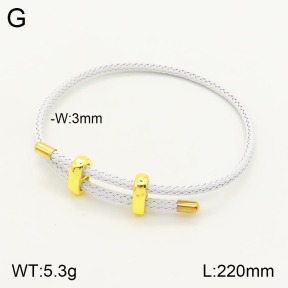 2B8000210vbmb-311  Stainless Steel Bracelet