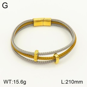 2B8000218ahjb-311  Stainless Steel Bracelet