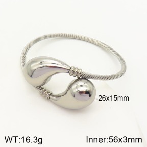 2BA200936vbnb-387  Stainless Steel Bangle