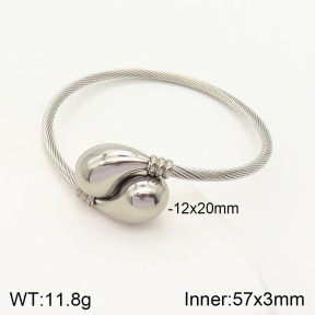 2BA200937bbml-387  Stainless Steel Bangle