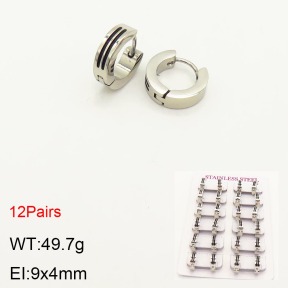 2E2003746akoa-387  Stainless Steel Earrings