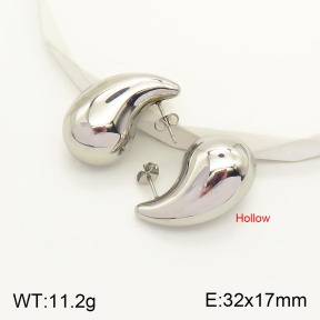 2E2003755bbov-311  Stainless Steel Earrings